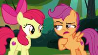 Scootaloo "are you sure she didn't mean" S7E21