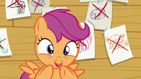 Scootaloo --the fall!-- S6E4