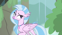 Silverstream in front of a waterfall S8E22