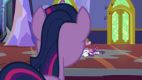 Twilight Sparkle returns to the castle S6E21