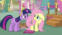 Twilight asks Fluttershy to help Rainbow Dash S03E13