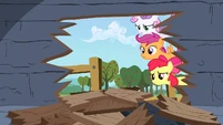 Now, there's a big, darn hole in the wall!