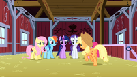 Applejack explains the plan to the Mane 6 S3E9