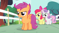 Cutie Mark Crusaders determined S4E05