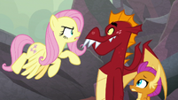 Fluttershy "Spike isn't afraid to be who he is" S9E9