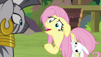 Fluttershy "anything else we can do for you?" S9E18