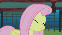 Fluttershy agrees S01E17