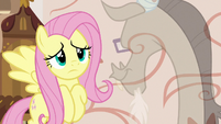 Fluttershy looks worried at Discord S7E12