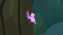 Little bird climbing a tree S8E13