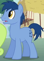 Noteworthy ID S03E05