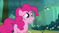 Pinkie thinks hummingbirds are adorable!