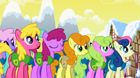 Ponies listening to Mayor Mare S1E11