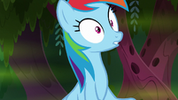 Rainbow Dash catching her excitement S8E17