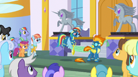 Rainbow accidentally cuts off a piece of Spitfire's tail S7E7