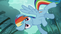 Rainbow looking at Scootaloo from above S3E6