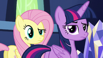 Twilight and Fluttershy aside-glance at Zephyr S6E11