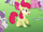 Apple Bloom 'No they're not' S2E06.png