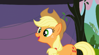 Applejack S3E8