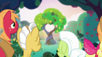 Bright Mac and Pear Butter's tree of love S7E13