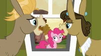 Pinkie!