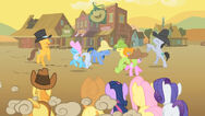 Fiesta Appleloosa.jpg