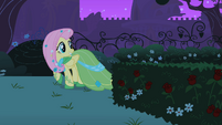 Fluttershy looking behind S01E26