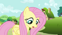 Fluttershy looking down S2E19