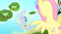 Fluttershy sees her reflection in the water S4E14