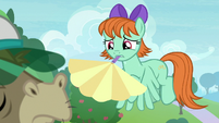 Pegasus mare fanning Cranky Doodle S8E15