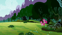 Pinkie and her duplicate leaving the Everfree Forest.