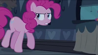 "Overreacting my hoof."