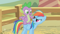 Rainbow Dash "Ready for another pony ride?" S1E13