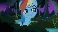 Rainbow Dash hiding S4E04