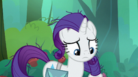 Rarity notices her messy mane S8E13