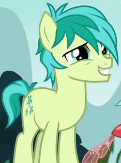 Sandbar ID S8E2.png