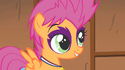 Scootaloo with green eyes.