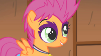 Scootaloo's report S1E18