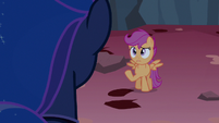 "Shouldn't you be in Canterlot?"