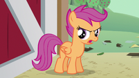 Scootaloo yeah S3E4