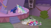 Pony pile!