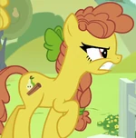 Cinnamon Pear ID S7E13