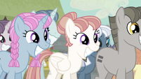 Equalized ponies smiling S5E02