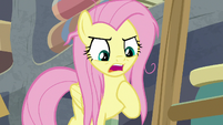 Fluttershy "when I have work to do!" S9E18
