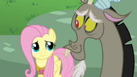 Fluttershy smiles at Discord S03E10