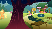 Ponies picking up branches S1E8