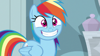 Rainbow Dash grinning excitedly S6E13