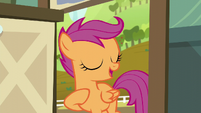 Scootaloo "can cheer on me and Rainbow Dash instead!" S5E17