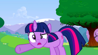 Twilight Sparkle's face of skepticism.