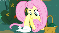 Angel falls over flat at Fluttershy's hooves S8E18