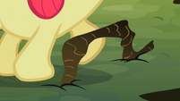 Apple Bloom hitting protruding root S2E06